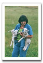 sheep_082004_06