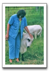 sheep_082004_04